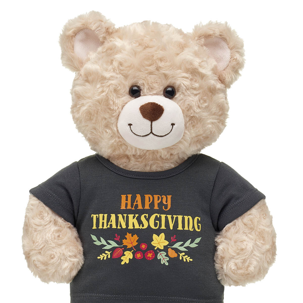 Happy Thanksgiving T-Shirt