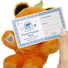 Build-A-Bear Mini Beans® Pumpkin Teddy Bear - Build-A-Bear Workshop®
