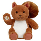 Online Exclusive Squirrel