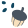 acorn