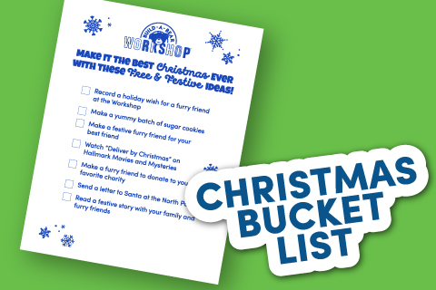 Bucket List - Activity Sheet Thumbnail