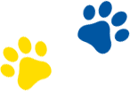 Canine Companions and Build-A-Bear Logos