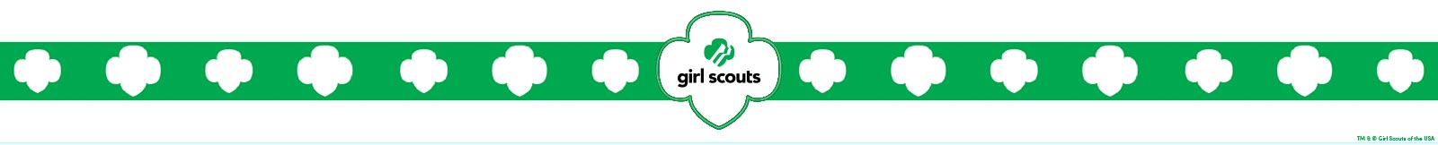 Girl Scouts Banner