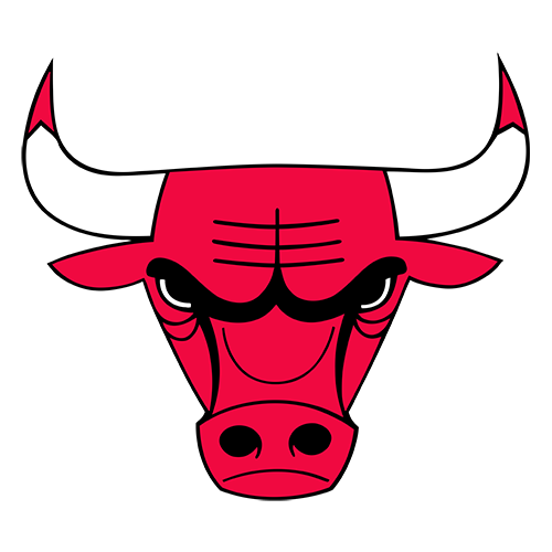 Chicago Bulls team logo