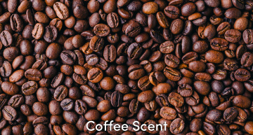 Coffee Scent