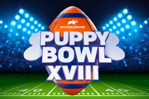 Puppy Bowl 2022 Downloadable PDF