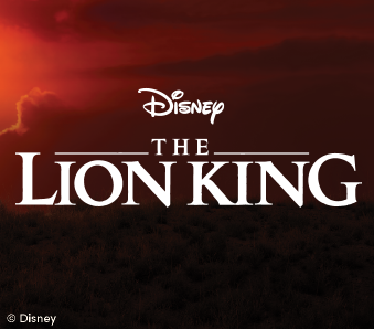 Disney's The Lion King Party Disney's The Lion King Party
