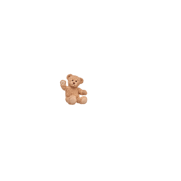 custom teddy bear maker