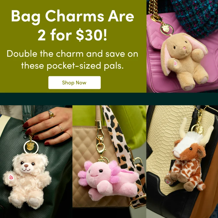 Bag Charms 2 for $30