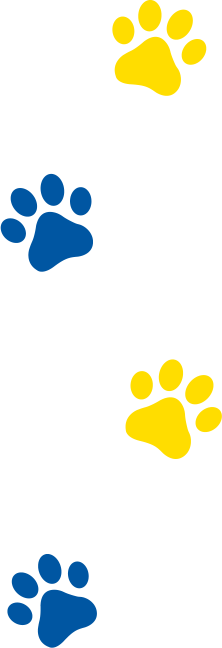 Puppy Paws