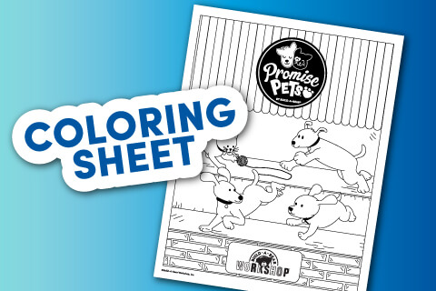 Promise Pets Coloring Sheet - Single page coloring sheet of pets playing