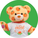 Vault Pumpkin Teddy