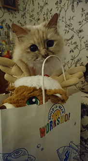 Build-A-Bear Customer
