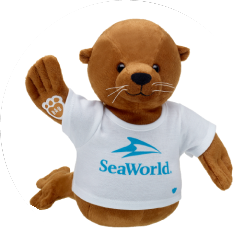 Sample - SeaWorld sea otter