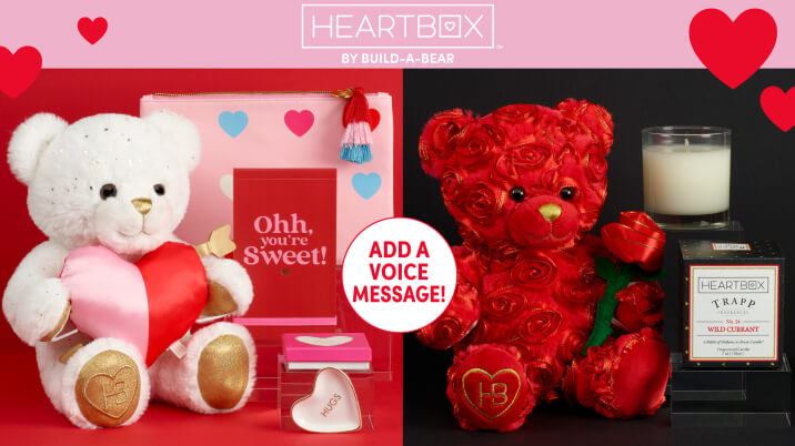 build a bear voice recorder stopped working