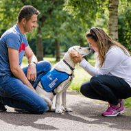 guide dog with companion