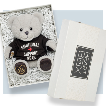 Emotional Support Bear | Build-A-Bear
