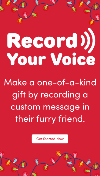 Record your voice Add a special message