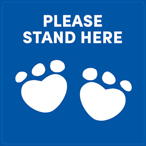 Build-A-Bear Experience - Floor Decal