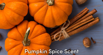 Pumpkin Spice Scent