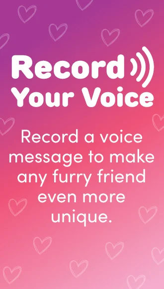 Personalize Any Gift