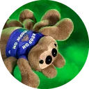Jumping Spider Online Restock