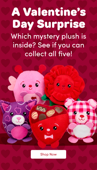 NEW Mystery Plush for Valentine&rsquo;s Day!