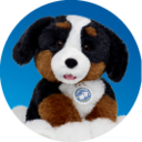 Gifts for Pet Lovers