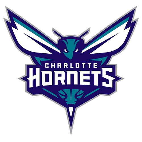 Charlotte Hornets team logo